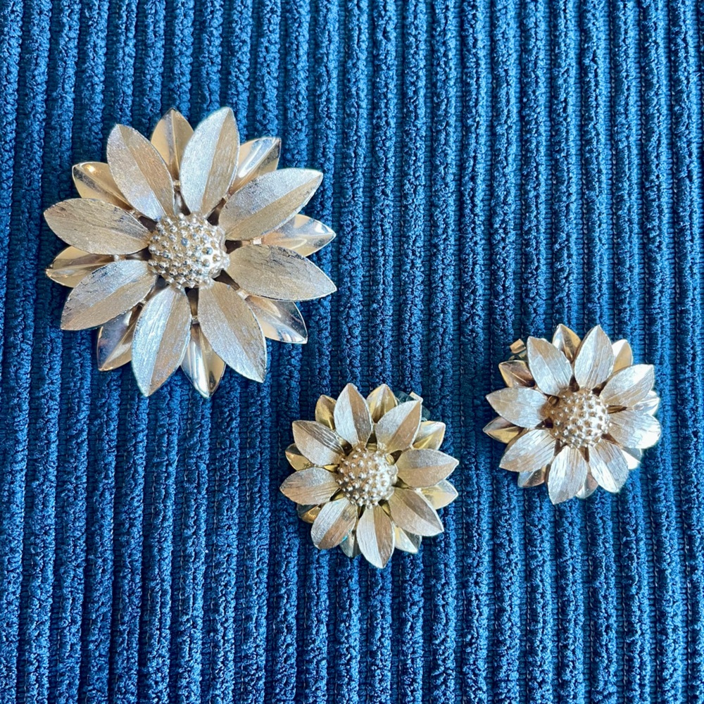 Vintage Sarah Coventry Satin Petals Brooch /Earrings set.